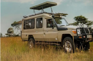 Cheap Safari Land Cruiser Tanzania